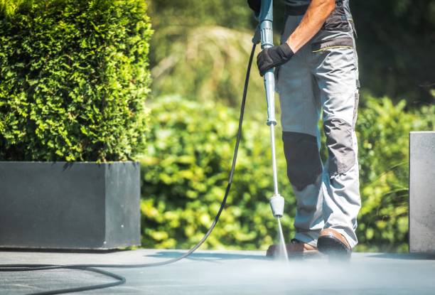 Best House Exterior Washing  in Northlakes, NC