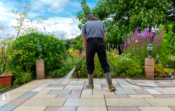 Best Pre-Holiday Cleaning  in Northlakes, NC